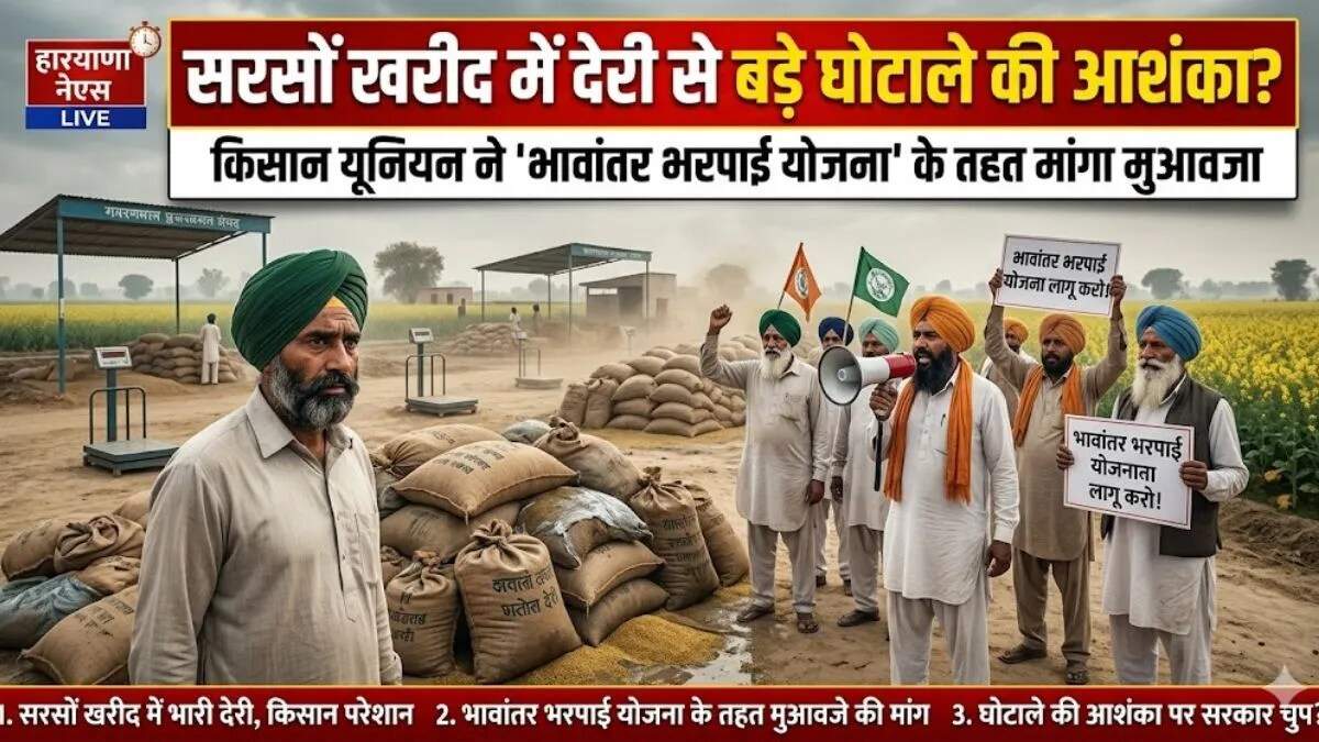 अंबाला में सरसों की पैदावार में कमी से किसानों में आक्रोश