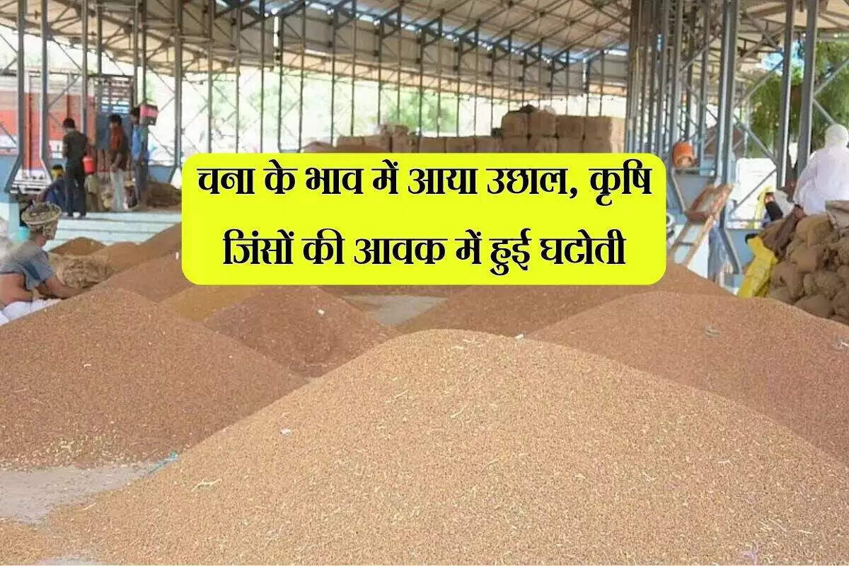 कोटा मंडी में कृषि जिंसों के भाव में उतार-चढ़ाव