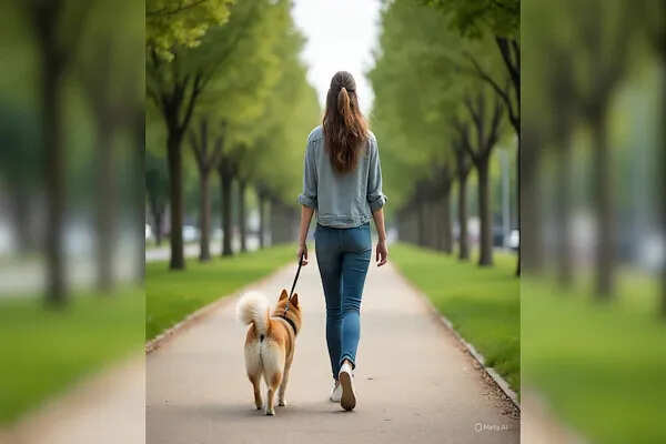 बेंगलुरु में महिला के साथ छेड़खानी और लूट का मामला