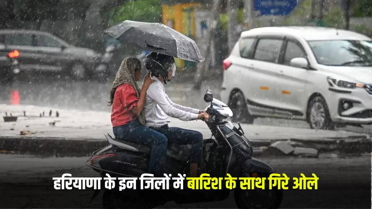हरियाणा में बारिश का अलर्ट: 10 जिलों में मौसम रहेगा खराब