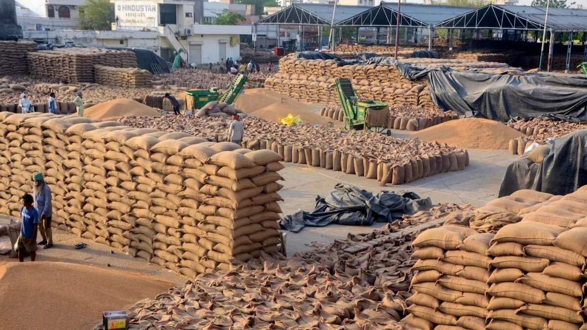 यमुनानगर में धान बिक्री के लिए QR कोड प्रणाली लागू