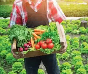 स्वास्थ्य के लिए डिटॉक्सिफिकेशन के सरल उपाय