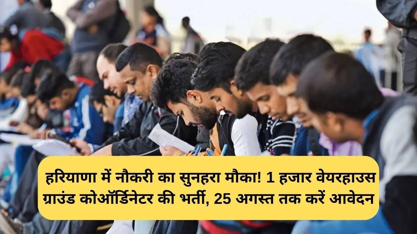 हरियाणा में वेयरहाउस ग्राउंड कोऑर्डिनेटर के लिए सुनहरा अवसर