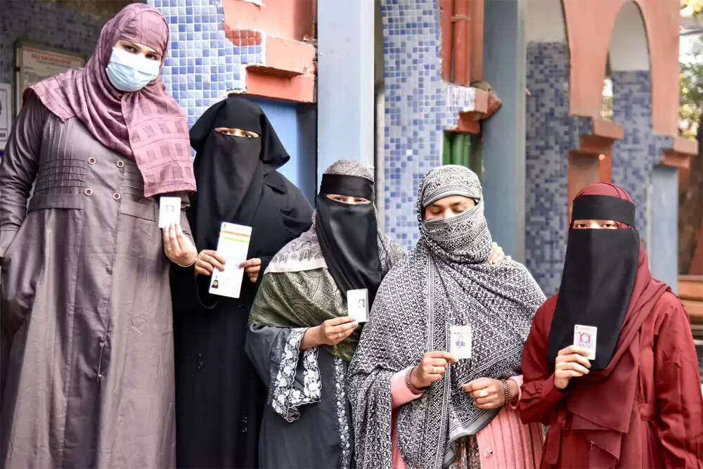 बिहार में मतदाता सूची पुनरीक्षण: चुनाव आयोग के नए प्रयोग पर उठे सवाल