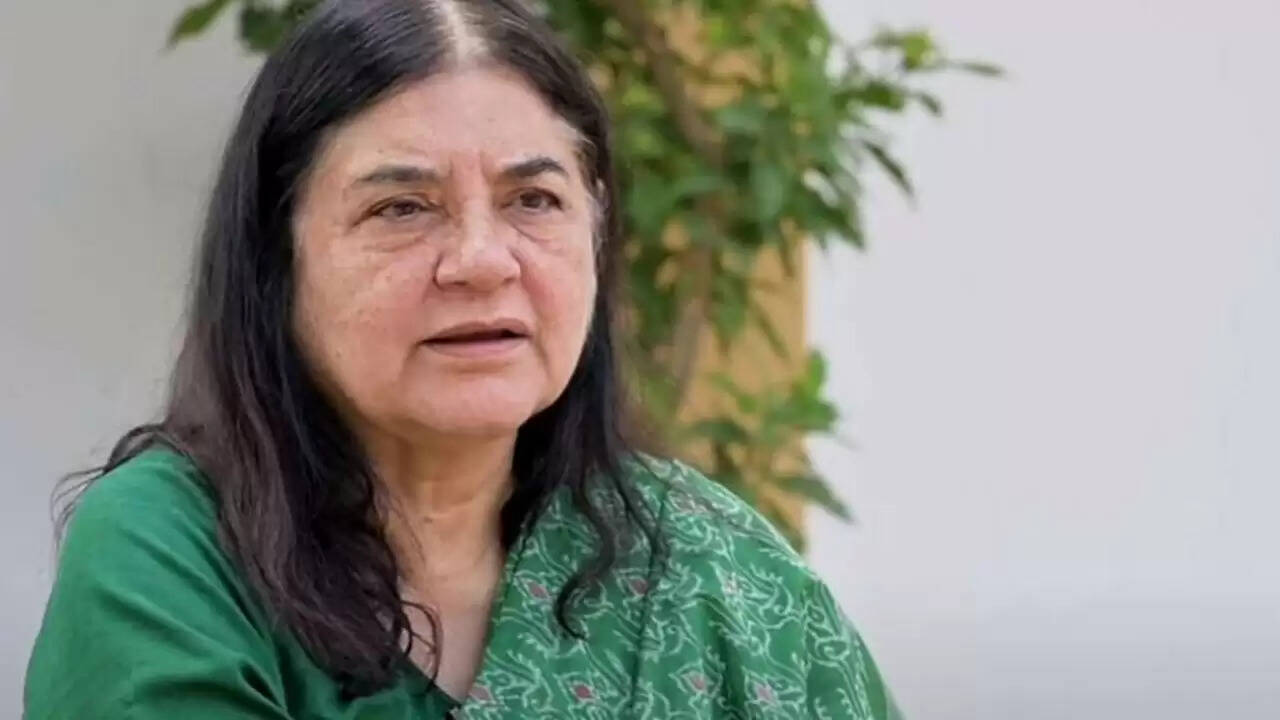 दिल्ली में आवारा कुत्तों को हटाने के सुप्रीम कोर्ट के आदेश पर विवाद