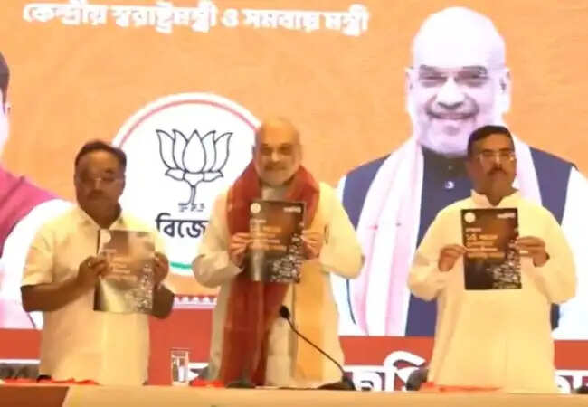 भाजपा ने टीएमसी के खिलाफ आरोप पत्र जारी किया