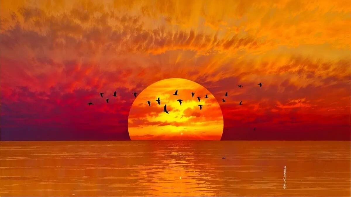 सूरज पर दिल को छू लेने वाली शायरी: छठ पूजा के लिए विशेष