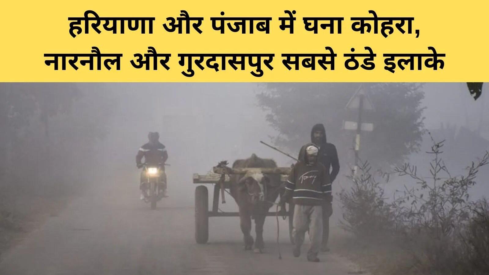हरियाणा और पंजाब में ठंड और कोहरे का कहर, जानें तापमान की स्थिति