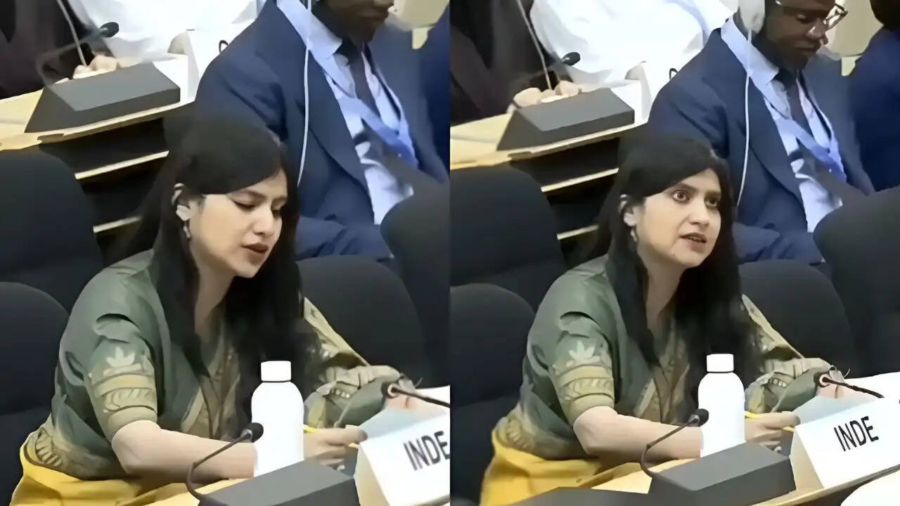 भारत ने UN में पाकिस्तान के दुष्प्रचार का किया पर्दाफाश