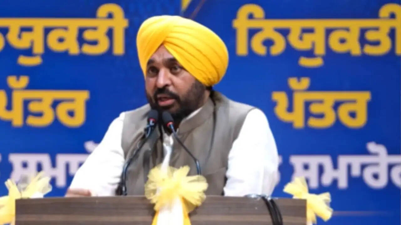 पंजाब में सरकारी नौकरी पाने वाले युवाओं का उत्साह