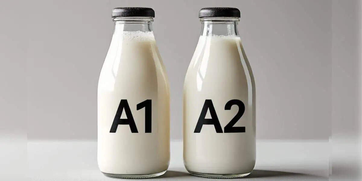 A1 और A2 दूध: कौन सा है आपके लिए बेहतर विकल्प?
