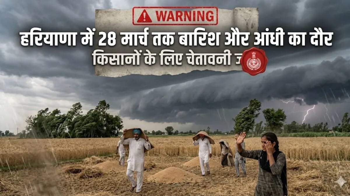 हरियाणा में पश्चिमी विक्षोभ से मौसम में बदलाव, किसानों की चिंता बढ़ी