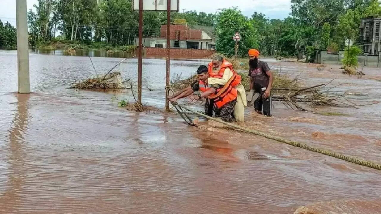 फाज़िल्का में बाढ़: राहत कार्यों में जुटी सरकार और समाजसेवी, लोगों को मिली उम्मीद