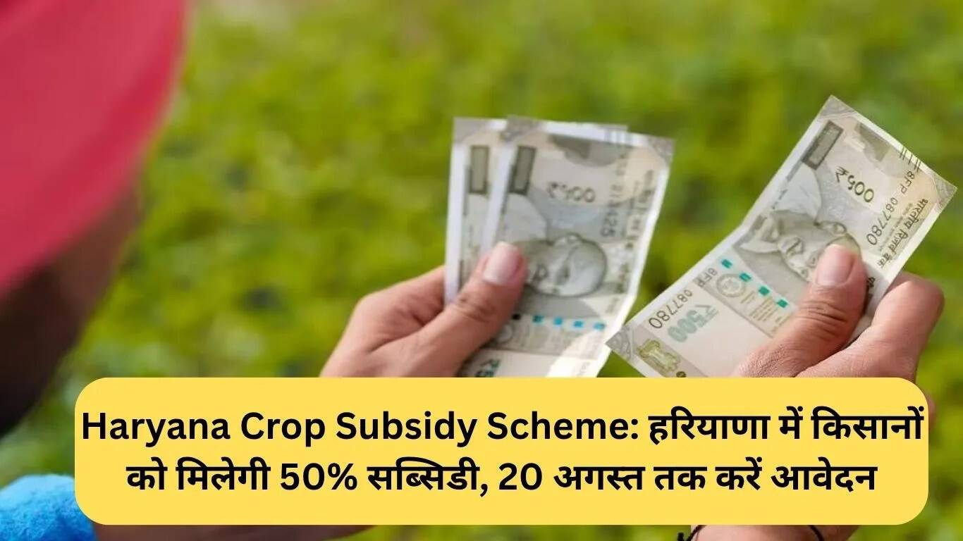 हरियाणा में फसल सब्सिडी योजना: किसानों को मिलेगी 50% सब्सिडी, आवेदन की अंतिम तिथि 20 अगस्त