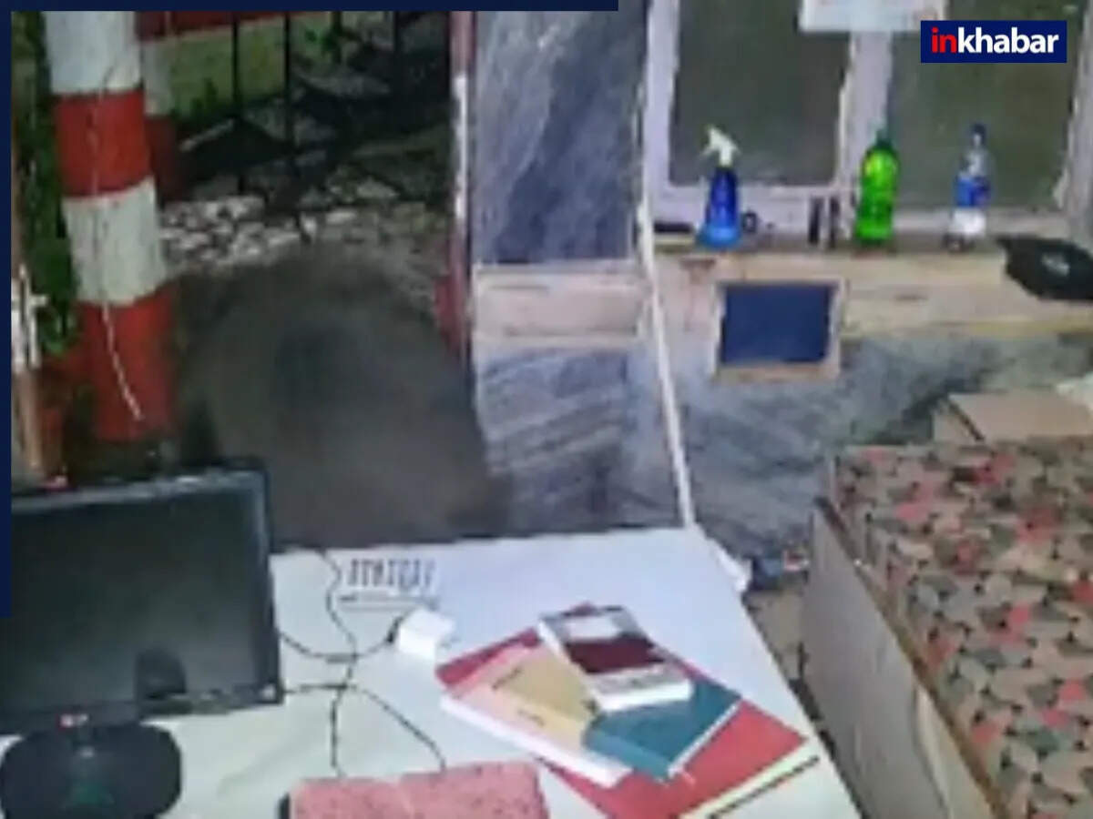 माउंट आबू में होटल में घुसा भालू, CCTV में कैद हुई घटना