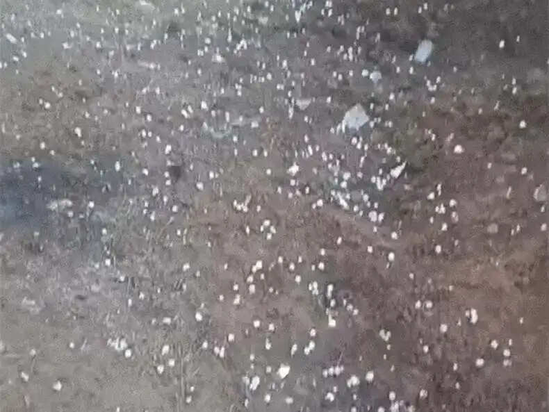 हरियाणा में मौसम का मिजाज: 10 जिलों में बारिश और ओलावृष्टि