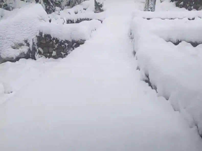 भारत में मौसम परिवर्तन: 12 राज्यों में बारिश और ओले