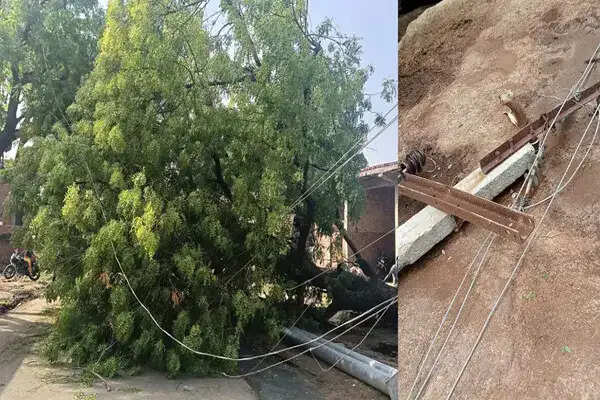 पंजाब में तूफान से भारी नुकसान, 1500 बिजली के खंभे उखड़े