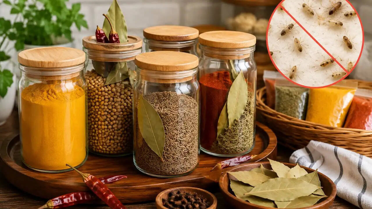 मसालों को सुरक्षित रखने के 8 प्रभावी घरेलू उपाय