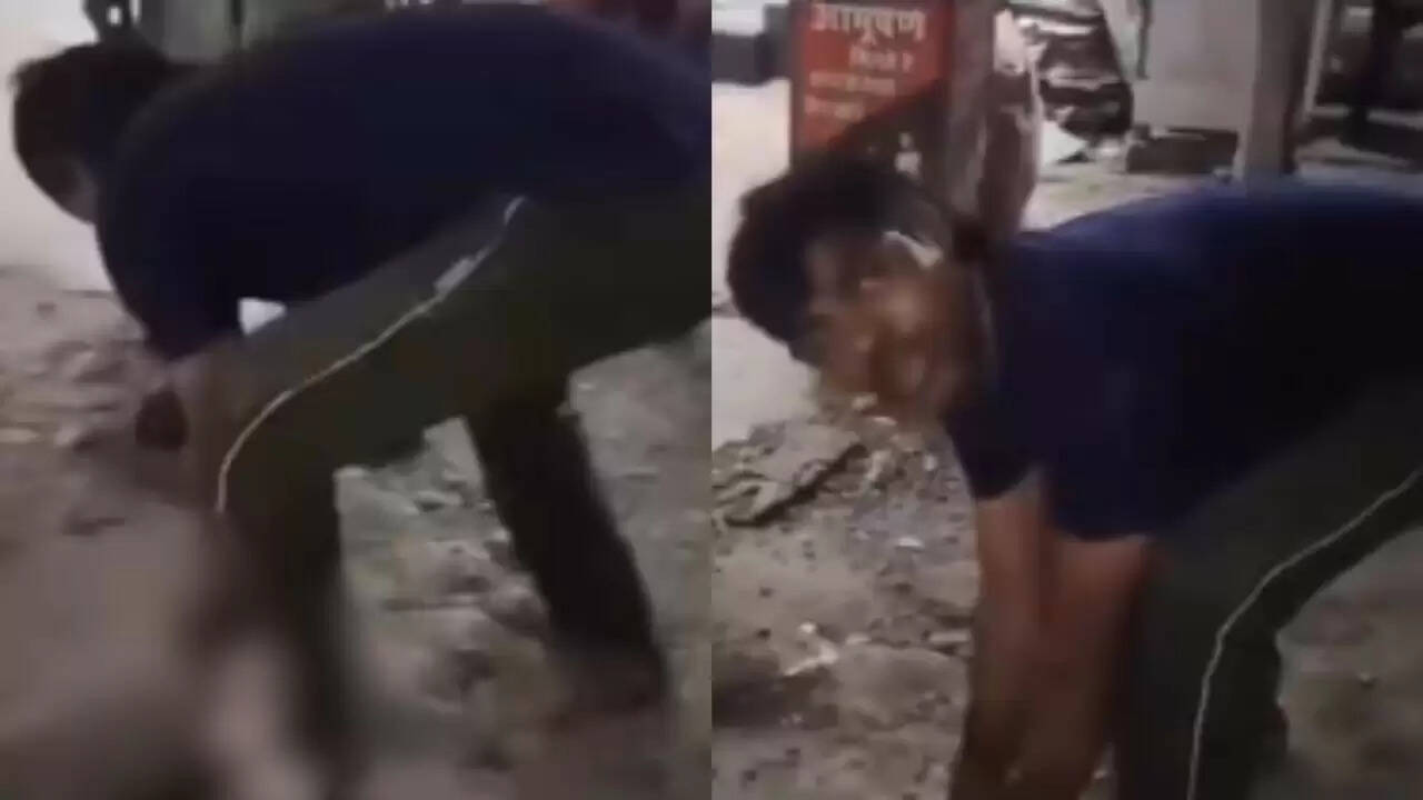 उन्नाव में कुत्ते की हत्या: मानवता को शर्मसार करने वाली घटना