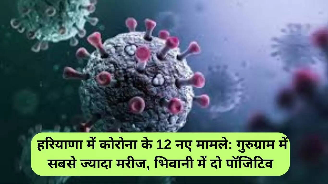 हरियाणा में कोरोना के 12 नए मामले, गुरुग्राम में सबसे अधिक मरीज