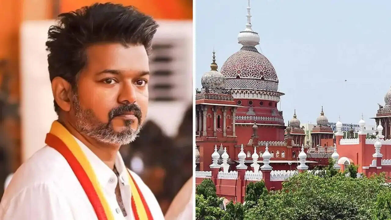 तमिलनाडु में TVK को मद्रास हाईकोर्ट से बड़ा झटका, विधायक की विधानसभा में भागीदारी पर रोक