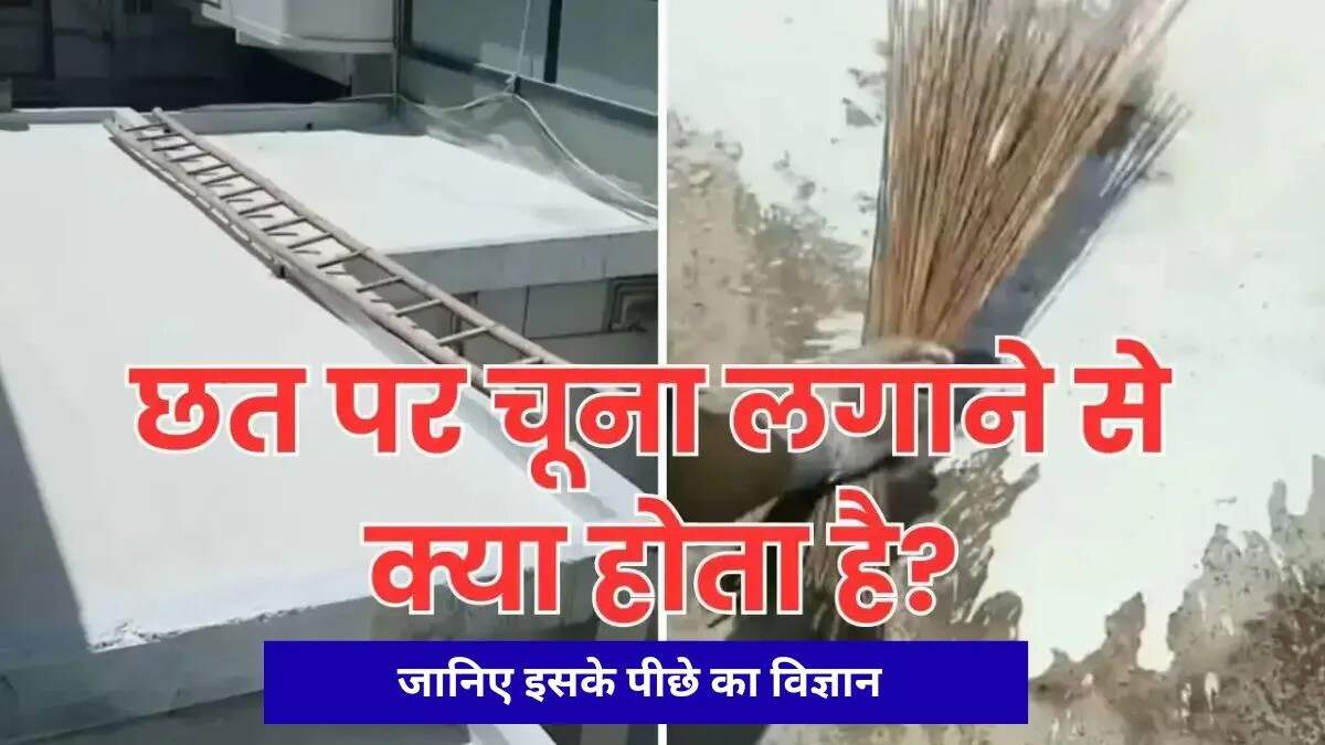 सफेद छत पेंट: गर्मियों में ठंडक का सरल उपाय
