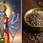 मार्गशीर्ष मास में जीरा का सेवन क्यों है वर्जित?