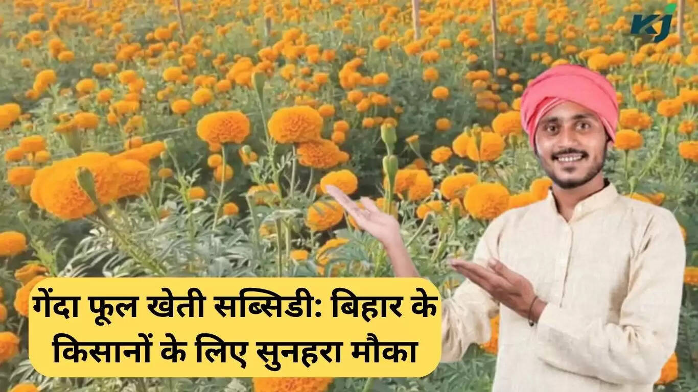 बिहार में गेंदा फूल खेती के लिए सब्सिडी: किसानों के लिए सुनहरा अवसर