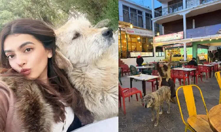 कशिका कपूर ने आवारा कुत्तों के लिए उठाई आवाज, संवेदनशीलता की दी सीख