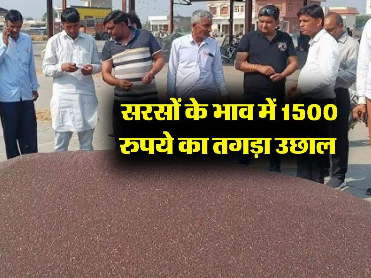सरसों के दामों में तेजी: किसानों के लिए फायदेमंद महीना