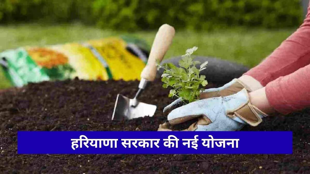 हरियाणा में स्मार्ट एग्रीकल्चर योजना की शुरुआत, किसानों को मिलेगा वित्तीय सुरक्षा