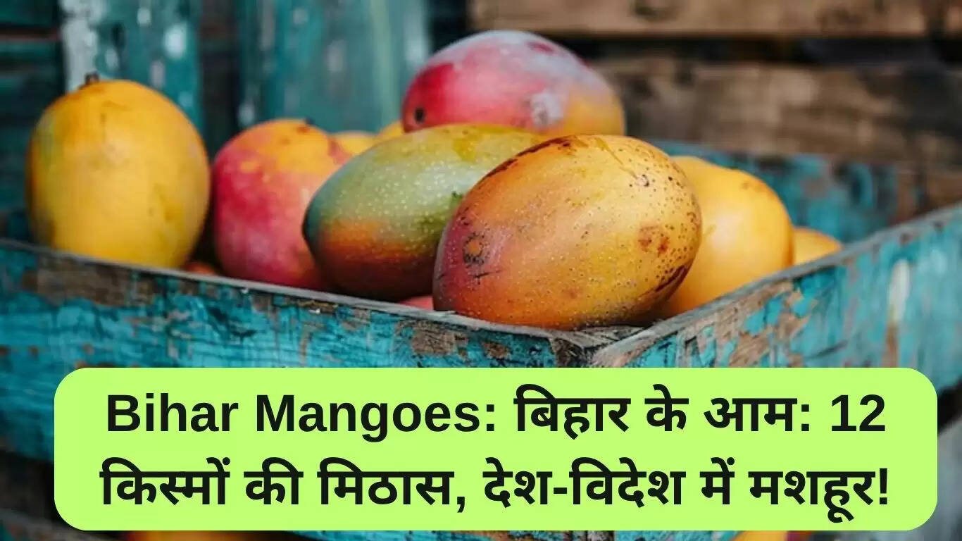 बिहार के आम: 12 विशेष किस्मों की मिठास और पहचान