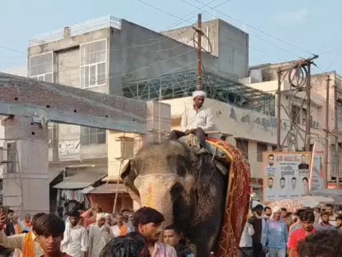 संभल में अनोखी अंतिम यात्रा: हाथियों के साथ विदाई