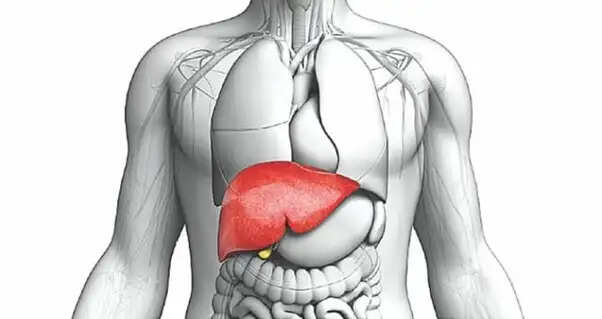 लिवर डिटॉक्स के लिए प्रभावी घरेलू नुस्खा