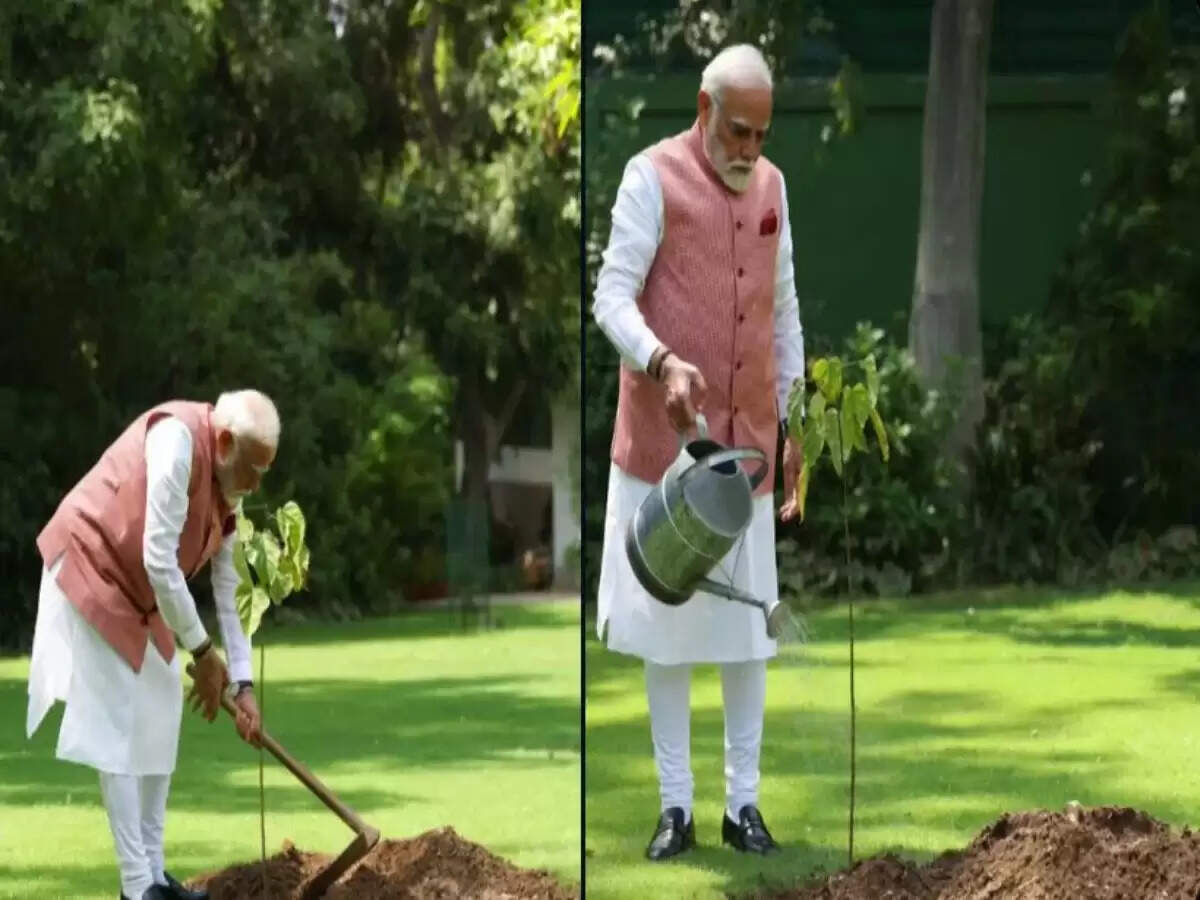 प्रधानमंत्री मोदी ने कच्छ की महिलाओं के सम्मान में सिंदूर का पौधा लगाया