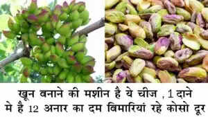 स्वास्थ्य के लिए फायदेमंद ड्राई फ्रूट्स का सेवन करें