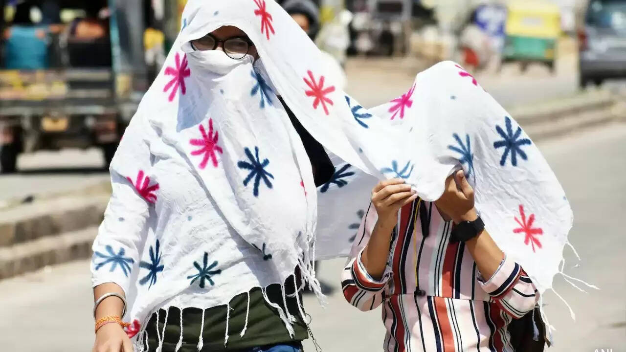 गर्मी का कहर: दिल्ली-एनसीआर में हीटवेव का अलर्ट, जानें क्या है स्थिति
