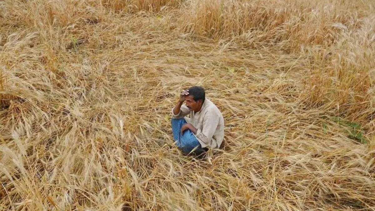 कैथल में किसानों को मुआवजे का इंतजार, दिवाली के बाद भी नहीं मिली सहायता