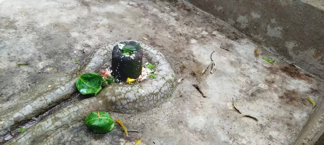 द्वादश ज्योतिर्लिंग के प्रतीक हैं बम्हणी गांव स्थित 12 शिवलिंग