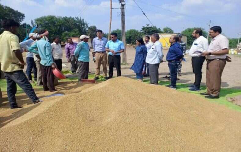 बलौदाबाजार: जिले में अब तक 21 हजार 282 मीट्रिक टन हुई धान की खरीद