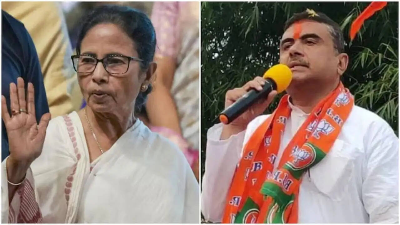 पश्चिम बंगाल में टीएमसी के भीतर बढ़ती कलह: काकोली घोष दस्तीदार का इस्तीफा