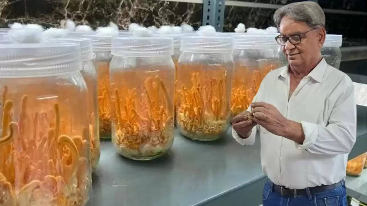 रमेश गेरा की इंडोर फार्मिंग: किसानों के लिए नई उम्मीद