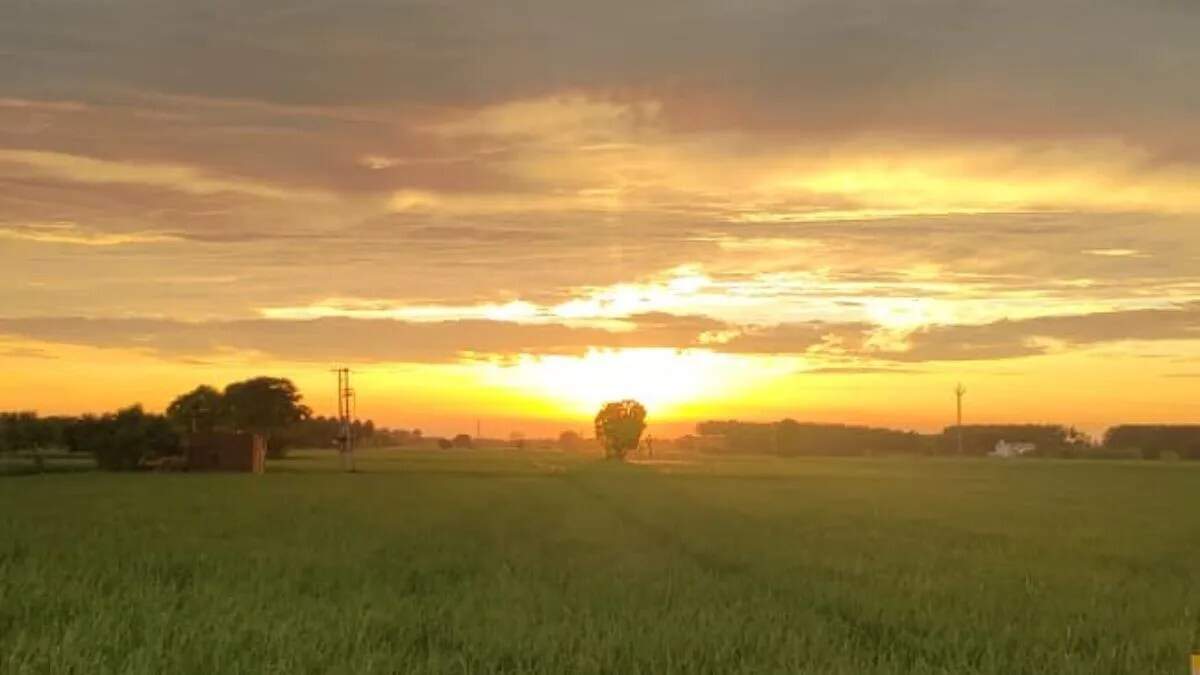 हरियाणा में सर्दी का असर: तापमान में गिरावट और धुंध का सामना