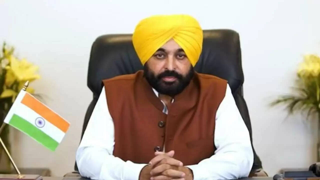 पंजाब सरकार ने स्वतंत्रता सेनानियों की पेंशन बढ़ाई, सम्मान का प्रतीक
