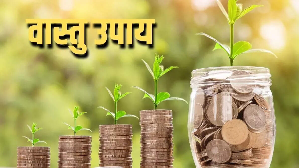 घर में सकारात्मकता लाने वाले 7 पौधे: जानें उनके लाभ और सही दिशा