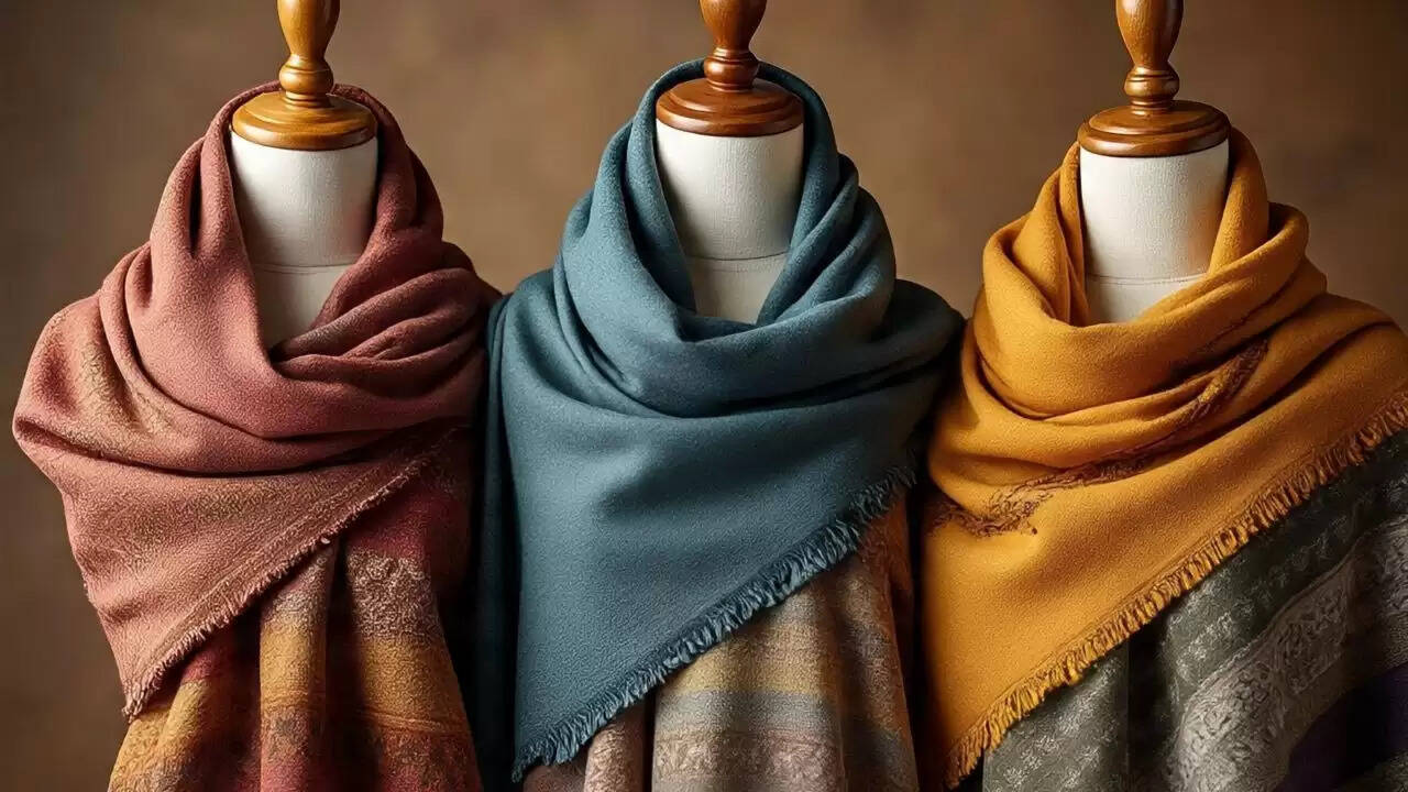 सर्दियों में गर्माहट देने वाली 5 देसी शॉल जो आपको जरूर पहननी चाहिए