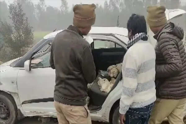 उन्नाव में मुर्गियों की चोरी का अनोखा मामला, पुलिस ने किया खुलासा