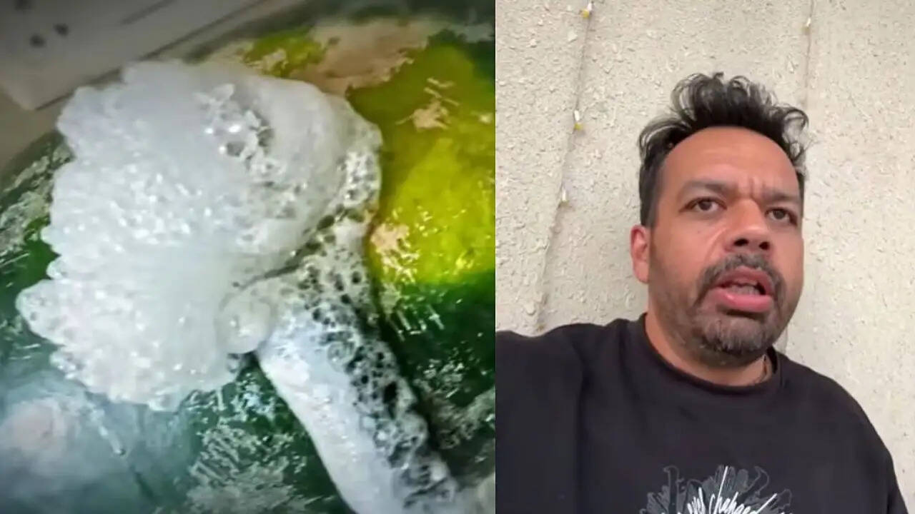 गौरव तनेजा का वायरल वीडियो: तरबूज में जहर या प्राकृतिक गैस?