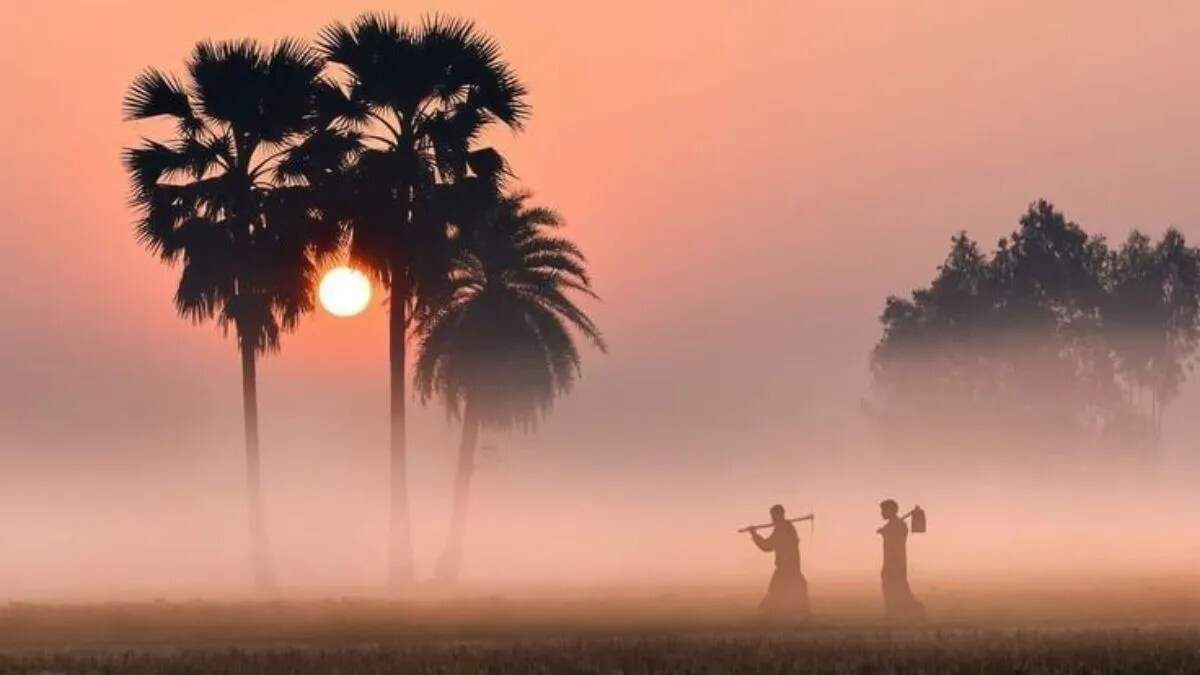 हरियाणा में सर्दी का असर: तापमान में गिरावट और धुंध का प्रकोप